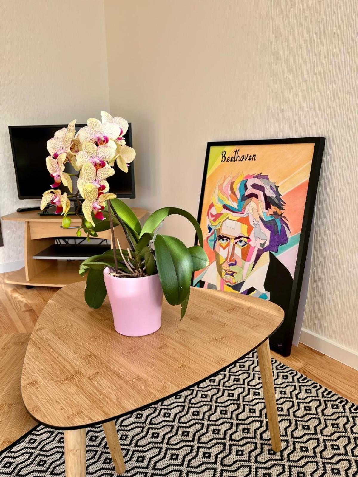 Le Beethoven Holiday home Colmar
