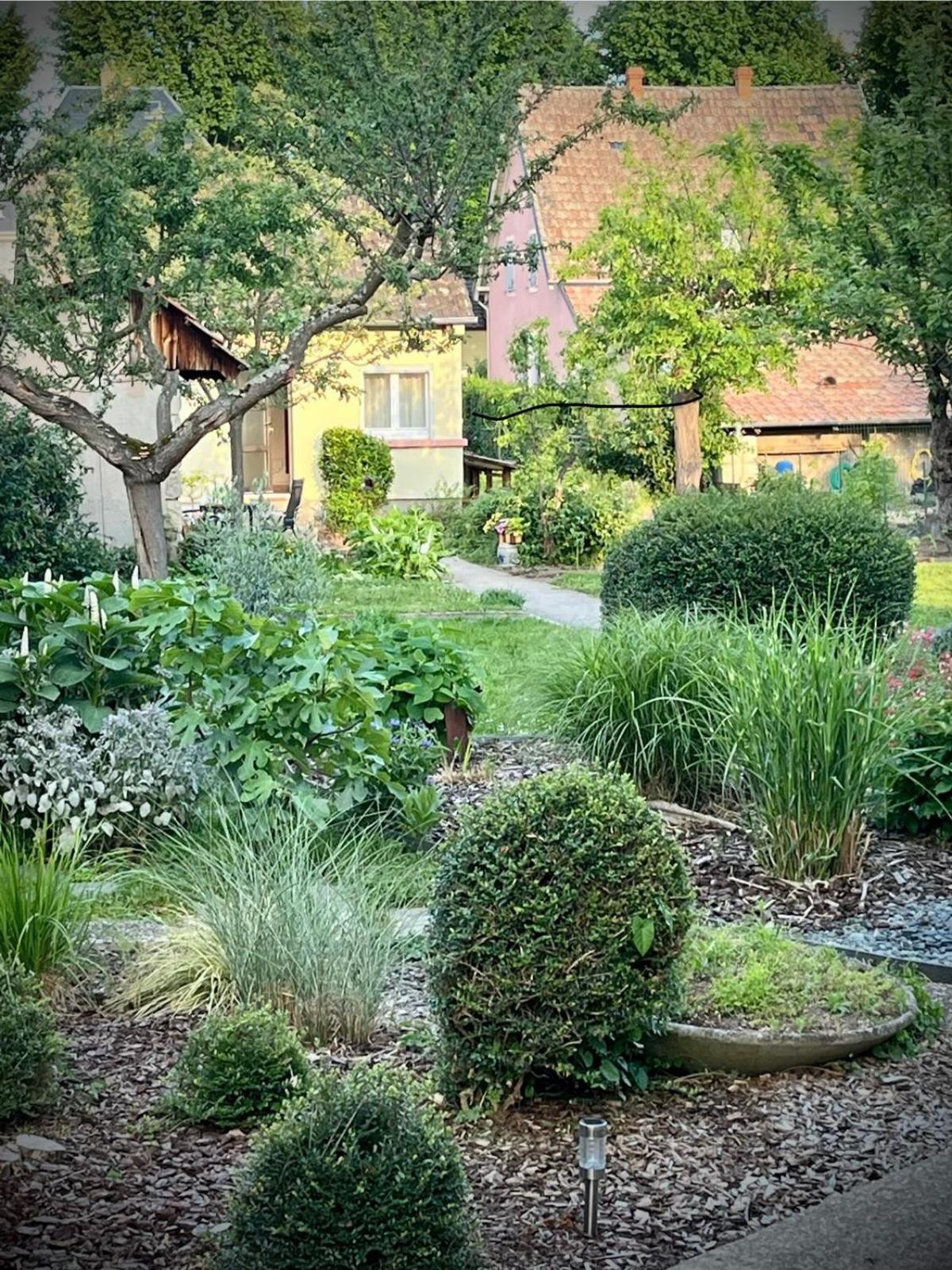 Holiday home Le Beethoven Colmar
